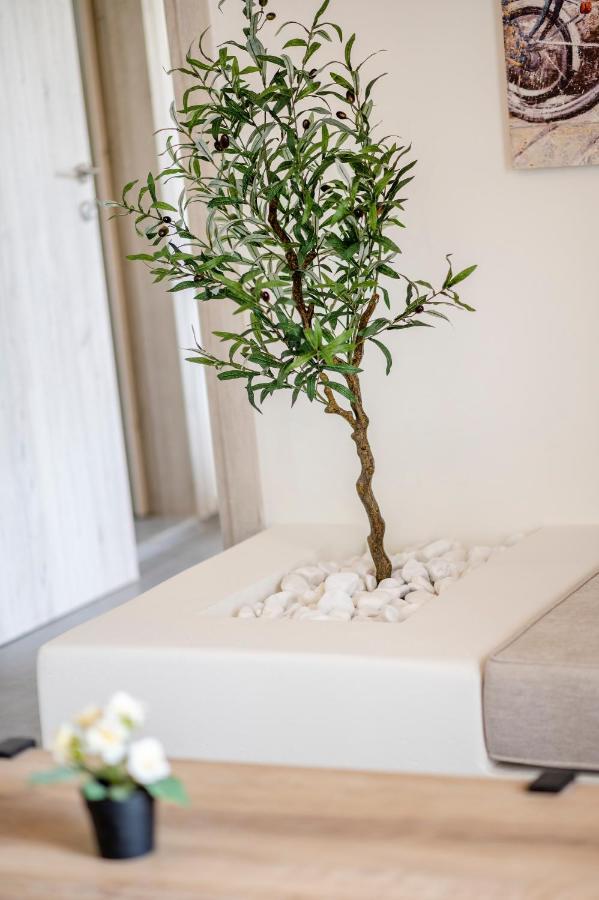 Jonathan City Apartment คอสทาวน์ ภายนอก รูปภาพ